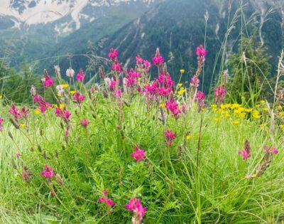 Summer season in Montchavin Les Coches –  a guide to what’s on.