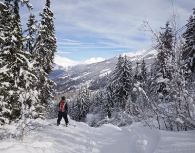 Last minute ski chalet availability